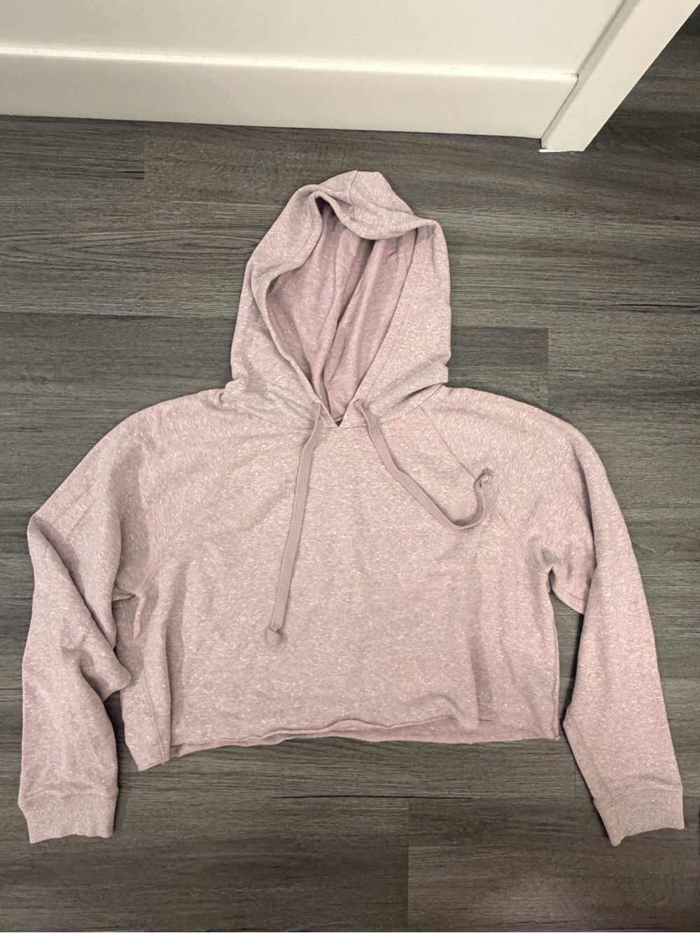 American Eagle Outfitters Light Lavender Cropped Hoodie